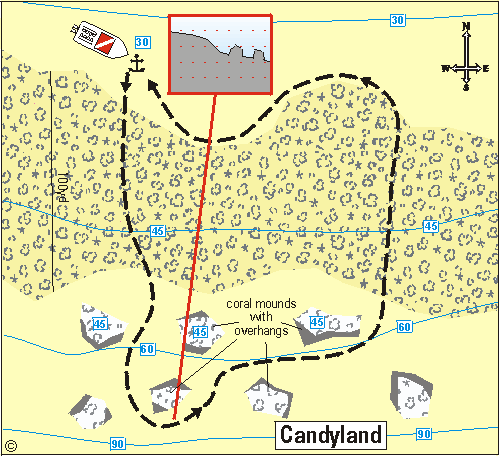 Puerto Rico Area 5 - West coast including Desecheo and Mona sample dive site map