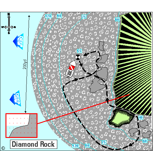 martinique sample dive site map